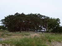 리스트로보기<전체조회<문화재조회<지정문화재<문화/관광/음식