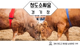 경상북도청도학생수련원-청도소싸움경기장