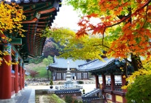 Welcome to Gimcheon