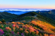 거제소개 > 기본현황 > 친선(우호)교류도시 > 전남광주통합특별시 구례군 | 거제시청