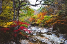 거제소개 > 기본현황 > 친선(우호)교류도시 > 전남광주통합특별시 구례군 | 거제시청