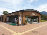 문서뷰어