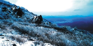 거제여행 > 음식 > 거제시 보증음식점 > 상세보기 계룡산