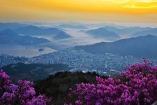 거제여행 > 음식 > 거제시 보증음식점 > 상세보기 계룡산