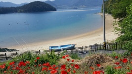 거제여행 > 숙박 > 지역별숙박 > 상세보기 옥계해수욕장