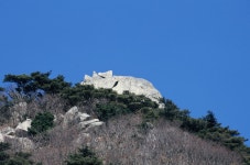 거제여행 > 숙박 > 민박 > 상세보기 노자산