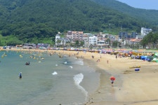 거제여행 > 숙박 > 지역별숙박 > 상세보기 와현 모래숲 해변 해수욕장