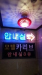 거제여행 > 숙박 > 상세보기 카리브모텔