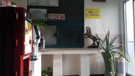 거제여행 > 숙박 > 상세보기 블루빌