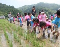 거제여행 > 숙박 > 지역별숙박 > 상세보기 삼거청사초롱 농촌체험휴양마을