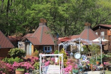 거제여행 > 숙박 > 민박 > 상세보기 거제핀란드빌리지펜션 1