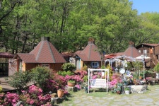 거제여행 > 숙박 > 민박 > 상세보기 거제핀란드빌리지펜션 1