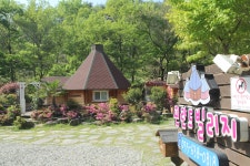 거제여행 > 숙박 > 민박 > 상세보기 거제핀란드빌리지펜션 1