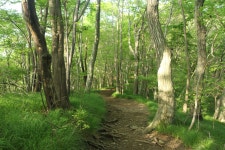 거제여행 > 숙박 > 민박 > 상세보기 거제핀란드빌리지펜션 1