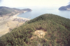 거제여행 > 음식 > 거제시 보증음식점 > 목록