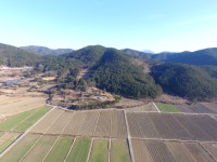 거제관광문화 : 거제여행 > 숙박 > 민박 상세보기