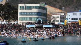 거제여행 > 음식 > 거제시 보증음식점 > 목록