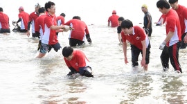 즐거운축제 > 거제도 국제펭귄수영축제 > 상세보기 거제도 국제펭귄수영축제