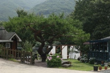 거제여행 > 숙박 > 민박 > 상세보기 소금꽃정원