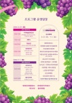 소통참여 > 시정뉴스 > 새소식 > 새소식 > 제13회 거제둔덕포도축제 개최 | 거제시청