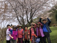 게시물 보기 페이지