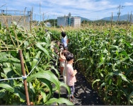 게시물 보기 페이지