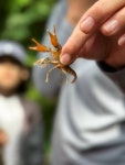 거제시청 ｜ 환경사업소