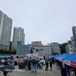 면동 > 연초면 > 열린마당 > 마을 이모저모 > 제4회 한들행복길 걷기축제(2024년 10월27일) | 거제시청