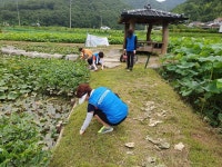면동 > 연초면 > 주민자치회 > 자료실 > 2019년 7월 주민자치위원회 다공연꽃단지 환경정화활동 | 거제시청