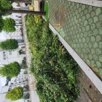 소통참여 > 시민참여 > 시장에게 바란다 > 시장에게 바란다 > 옥포경찰서 앞 나무가지 | 거제시청