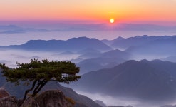 금산군 문화관광 문화관광