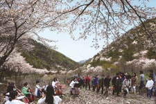 금산군 서대산 산꽃세상 > 금산 10경·10미·10품 > 관광명소 > 문화관광 문화관광