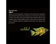 나의 경기도
