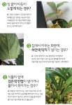 식물이 아플 땐 사이버식물병원에 접수하세요! | 오늘의 기회 | 경기도는 오늘 | 뉴스 | 경기도청 식물이 아플 땐 사이버식물병원에 접수하세요!... 