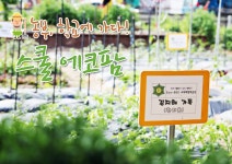 ‘스쿨 에코팜’ | 오늘의 기회 | 경기도는 오늘 | 뉴스 | 경기도청 농부, 학교에 가다! ‘스쿨 에코팜’ 경기도청 - 변화의 중심 기회의 경기