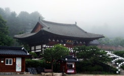 고즈넉한 가을을 느끼다, 템플스테이 | 오늘의 기회 | 경기도는 오늘 | 뉴스 | 경기도청 고즈넉한 가을을 느끼다, 템플스테이 경기도청 - 변화의... 