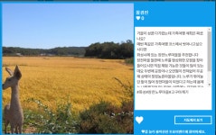 다양한 맞춤형 힐링 여행을 할 수 있는 화성의 숨겨진 매력 소문을 소개합니다. | 오늘의 기회 | 경기도는 오늘 | 뉴스 | 경기도청 다양한 맞춤형... 