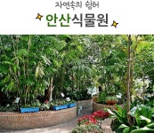 경기도 식물원 BEST7을 소개합니다! | 오늘의 기회 | 경기도는 오늘... 경기도 식물원 BEST7을 소개합니다! 경기도청 - 변화의 중심 기회의 경기