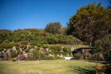 경기여성 - 심재식, 이혜옥, 이경옥