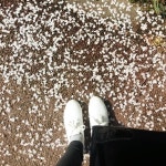 고고싱 상품후기 사이즈도 딱 맞고 , 발도 작아보입니다. 가격대비 넘 괜찮네요., 아무옷에나 잘 어울리상품후기 - 고고싱