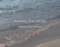 2025 summer - 고고싱 2025 summer - 2025 summer
