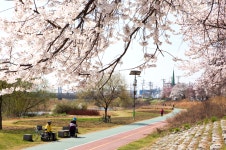 관광정보: 경기관광누리집