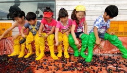 : 경기관광누리집