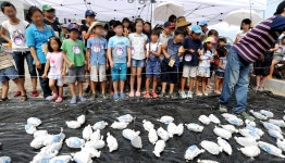 : 경기관광누리집