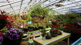 관광정보: 경기관광누리집