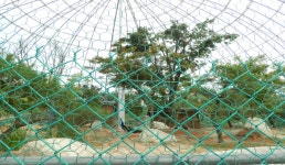 드라마 장옥정 세트장 | 관광지 | 여행정보 | 경기관광플랫폼