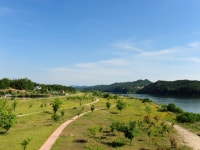 강천섬(단양 쑥부쟁이 자생지) | 관광지 | 여행정보 | 경기관광플랫폼