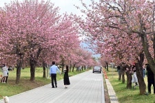 미사경정공원 | 관광지 | 여행정보 | 경기관광플랫폼