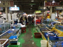 궁평항수산물직판장 | 관광지 | 여행정보 | 경기관광플랫폼