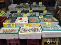 부천 원종종합시장 | 관광지 | 여행정보 | 경기관광플랫폼